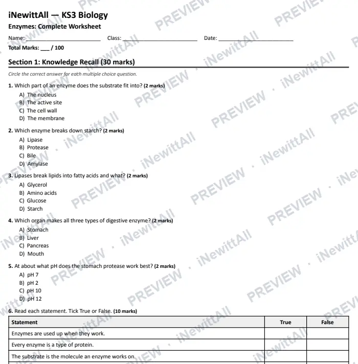 Preview of the top of page 1 of the full Digestive Enzymes worksheet