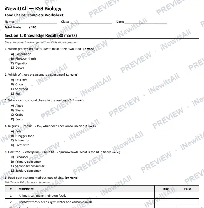 Preview of the top of page 1 of the full Food Chains worksheet
